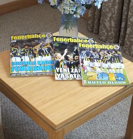 招待所 Fenerbahce Spor Kulubu Konukevi 伊斯坦布尔